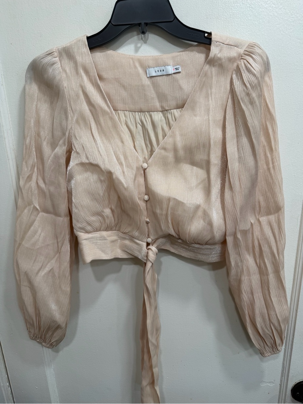 ❤️💜 5 for $20! Lush Pale Blush Tie-Front Puff Sleeve Blouse